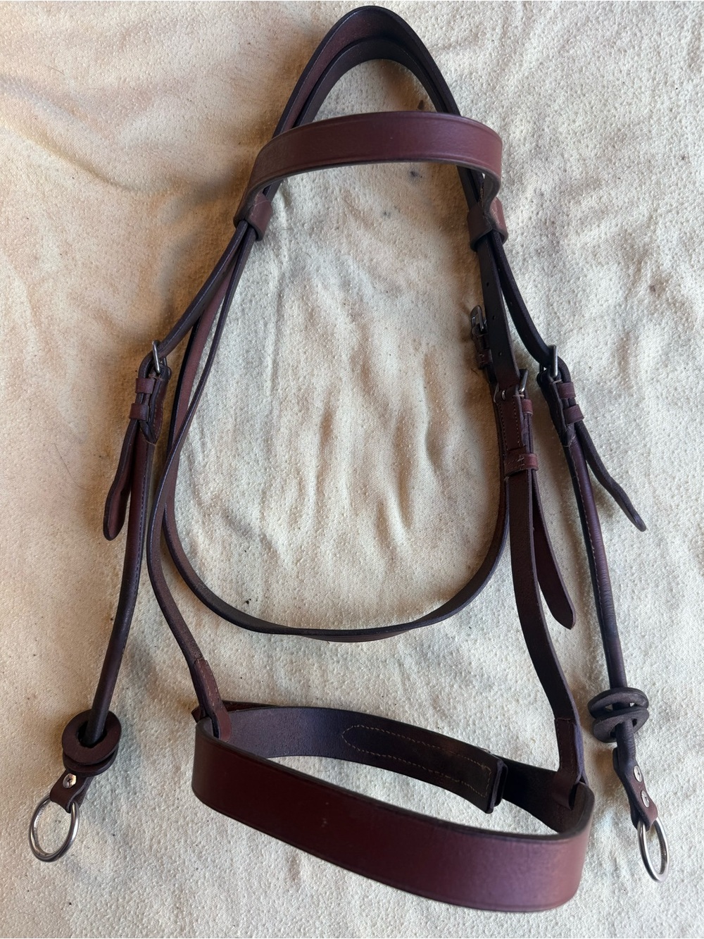 Oversized hunt bridle